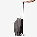 ebags Mother Lode 22 Inches Carry-On Roller (Heathered Graphite)