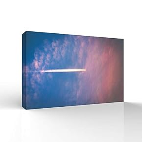 SIGNFORD Canvas Wall Art for Living Room,Bedroom Home...