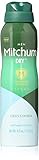 Mitchum Dry Advanced Control Spray, Clean Control, 4.0 Ounce
