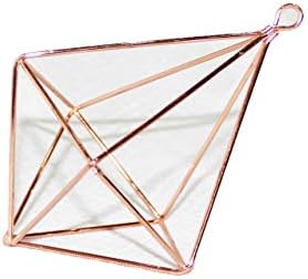 libproqia Hanging Metal Tillandsia Air Plant Rack HoLvpage Rustic Style Freestanding Wall Hanging Diamond Tear Drop Shape Geometric Metal Tillandsia Air Plants Rack Holder Rose Gold