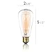 Gordon & Bond Vintage Edison Light Bulb 60W (1 Pack) - Dimmable Exposed Filament - Incandescent Clear ST58 Teardrop Squirrel Cage Style - E26 Medium Base 2700K - 210 Lumens … (1 Pack)