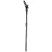 Poulan Pro PPB40PS, 40-Volt 8 in. Cordless Pole Saw