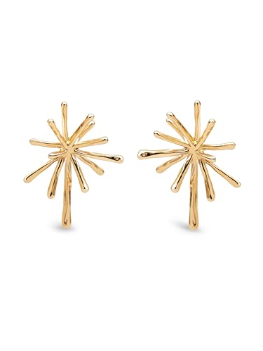 - Orecchini Nova. Acciaio con Finitura in Oro 18Kt. Originali con Motivo. Chiusura in Silicone. Gioielli per Donna