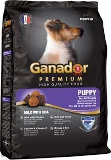 calcium carbonate for dogs