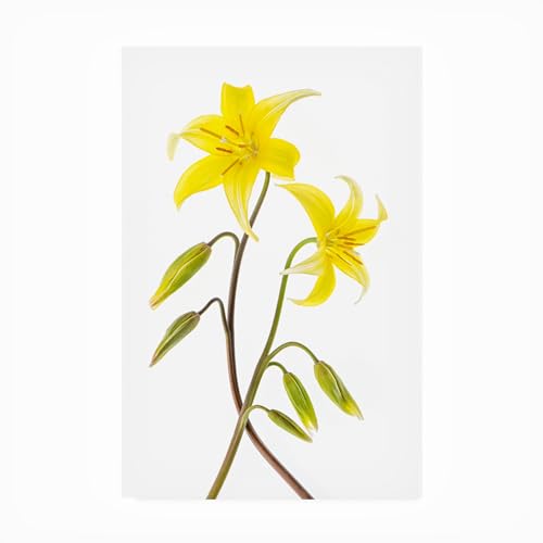 Trademark Fine Art Outdoor Canvas Art - Jacky Parker 'Dogtooth Violet' Wall Art…