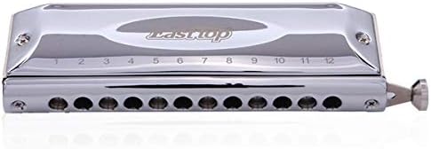 CHUJIAN 12-hole Chromatic Harmonica, Adult Introduction, Beginner Practice (Color : C)