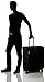 Victorinox Werks Traveler 5.0 WT Softside Spinner Luggage, Black, Checked-Large (27