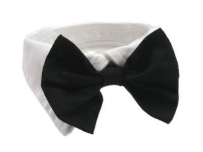 DOGGIE DESIGN Dog Bow Tie Tuxedo Collar- Black, Small (Neck 11-13