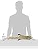 SPOT Skinneeez Raccoon 23 Inch Stuffing-Free Dog Toy – Soft Plush Tug Toy with Two Squeakers for Medium and Large Dogs – Mess-Free Interactive Chew Toy
