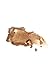 stila Heaven's Hue Highlighter, Brilliance, 0.35 oz