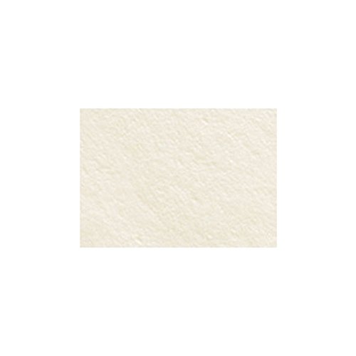Legion Stonehenge Paper Roll, 90 lb., 50 inches X 10 yards, Warm White (F05-ST2510WW250)