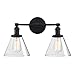 Phansthy 2-Light Industrial Wall Light Black Wall Sconce Light Fixture with Dual 7.3 Inches Cone Clear Glass Canopy(Black)