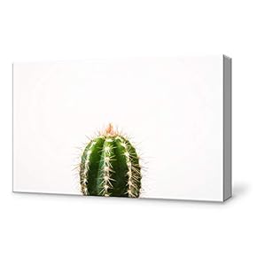 Canvas Wall Art Cactus Canvas Painting Wall Poster Decor for Living Room Framed Home Decorations - 12x18 inches