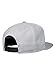 Quiksilver Men's Rakers Hat, Micro chip, One Size