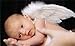 FashionWings (TM White Feather Angel Wings & Halo for Newborn 0-6 Mo Babies