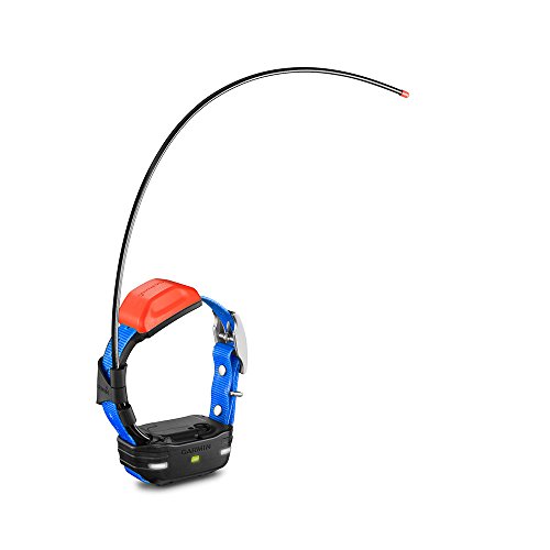 Buy Garmin T5 Mini Dog Tracking GPS Collar at Ubuy Singapore