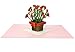Paper Love Carnations Pop Up Cards (Carnation V1)