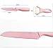 Neal LINK pink knife set with block-knife set pink kitchen accessories-knives set for Kitchen Peeler