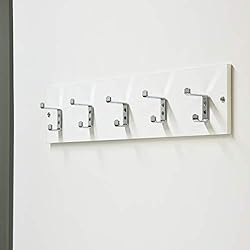 Amazon Basics Straight Steel Double Prong Coat