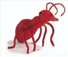 Ant 13" by Jaag