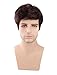 Kalyss Men's Wig Short mix Brown Color Curly Wavy Natural Synthetic Hair Wig for Men
