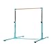 Milliard Professional Gymnastics Kip Bar Height Adjustable, Bright Teal