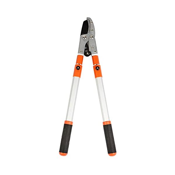 LCAIHUA Teleskop Astschere 680 mm bis 950 mm, Scharfe und Bequeme Bypass Baumschere, Robustes und Sicheres…
