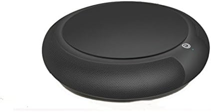DEIDS best Car Air Purifier,Ionizer,Ionic Air Purifier (Black)