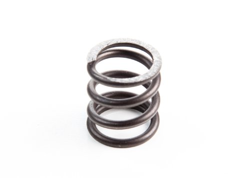 Briggs & Stratton 26826 Valve Spring Replaces 555553, 26826