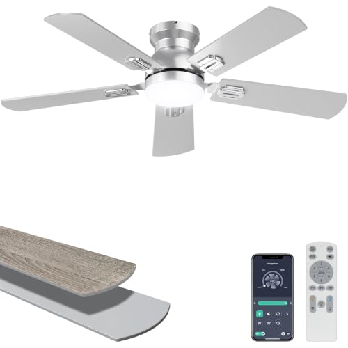 Ohniyou Silver Ceiling Fan
