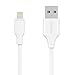 iPhone Charger, Rankie USB Sync and Charging Lightning Cable for iPhone 7/6/6s/5/5S/5C, iPad 4, iPad Air 1/2, iPad Mini 1/2/3 - 3.2ft (White) - 0450