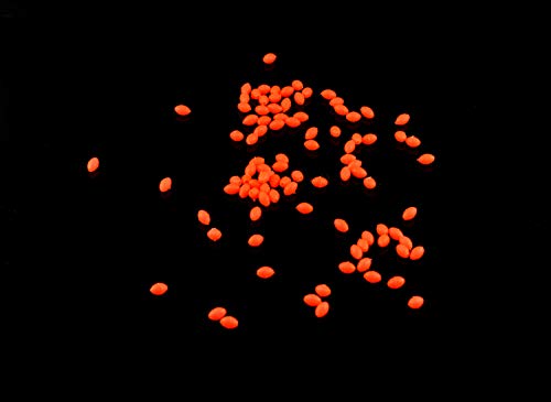 Jammas 100PCS/Lot 4mm6mm Premium Orange Color Oval Soft Sinking Luminous Beads Elastic Fishing Glow Fluorescent Bead Top Grade - Thumbnail 4