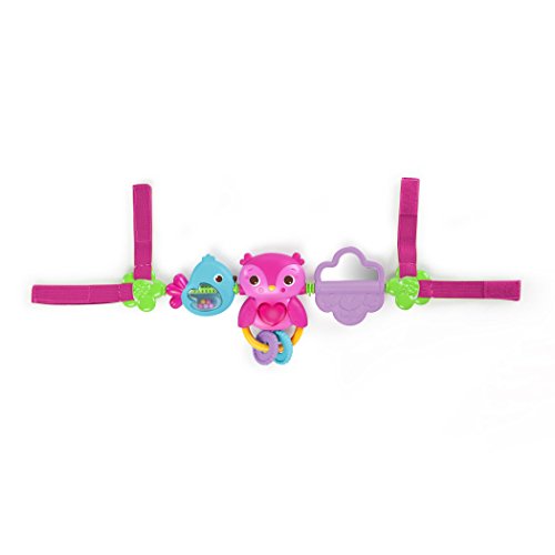Bright Starts Busy Birdies Carrier Toy 