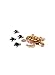 PLAYMOBIL Sea Turtle with Babies Building Set