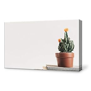 Cactus Painting Wall Poster Decor for Living Room Framed