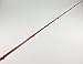 Carrot Stix Wild Wild Orange Casting Fishing Rod W/ Semi Micro Guides (Medium Heavy Fast Casting C2WX-691MH-F-C)