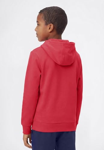 Champion Boy-Graphic Hoodie Hoodie for Boys
