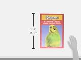 Armitage Kagesan Red Sanded Sheets No 6 Pack 5 17x11 In Bird Cage view 6