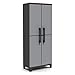 2 Door Storage Cabinet, Finish: Black and gray