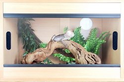 Terapod Slim Vivarium, Beech 24