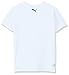 PUMA Big Boys' No.1 Logo Tee, PUMA White, 14-16 (Large)