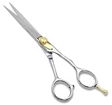 Professional Barber Razor Edge Hair Cutting and Thinning Shears (Health and Beauty)
