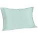 Spasilk Pure Silk Pillowcase, 100% Charmeuse Silk for Hair and Beauty, Hypoallergenic Pillowcase, Queen Sized, White