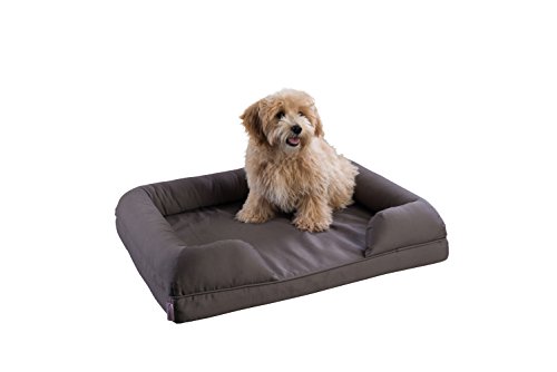 petlo dog bed