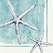 Cypress Home Sea Life Paper Cocktail Napkins, 20 count - 5”L x 5”H