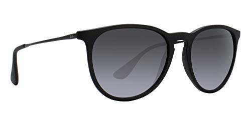 Ray Ban Erika Sunglasses Matte Black - Ray-Ban RB4171 Erika Sunglasses Matte Black