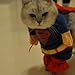 Alfie Pet by Petoga Couture - Superhero Costume Superman - Size: XS