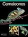 Camaleones/ Chameleon (Reptiles) (Spanish Edition) by 