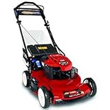 TORO 22in. Electric Start Personal Pa