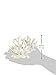 Deep Blue Professional ADB80080 Gorgonian Coral for Aquarium, 7 by 2.5 by 5-Inch